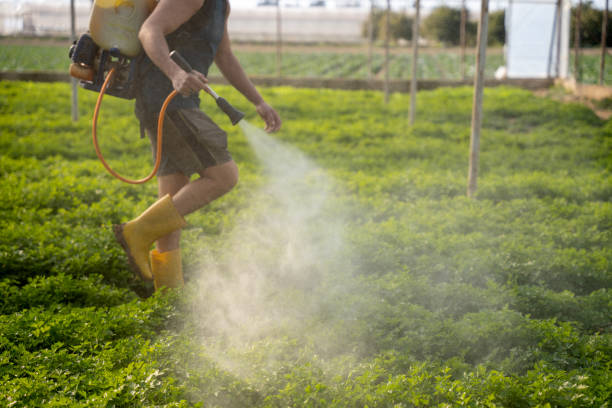 Best Pest Control for Businesses  in Clatskanie, OR