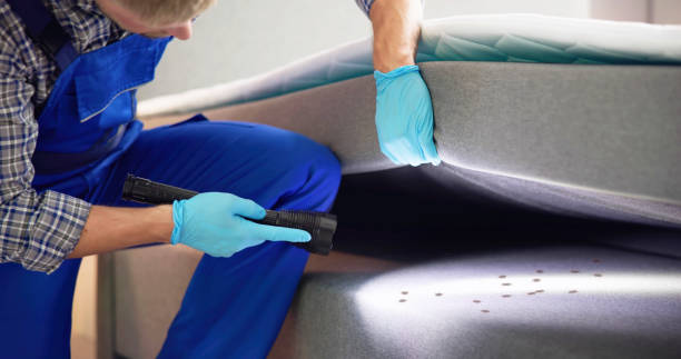 Best Affordable Pest Control Services  in Clatskanie, OR