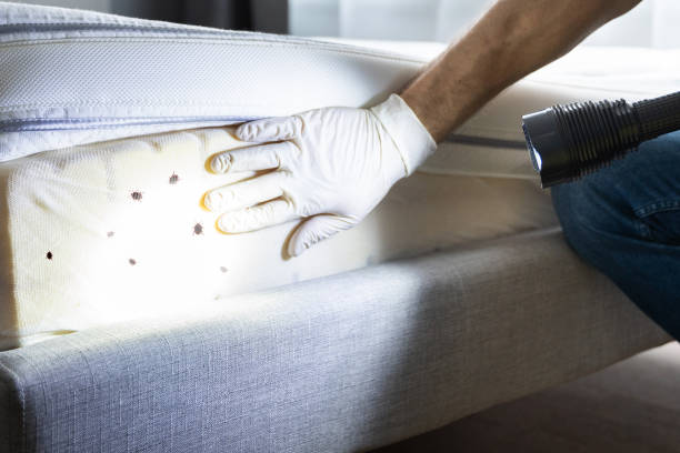 Best Cockroach Control Services  in Clatskanie, OR