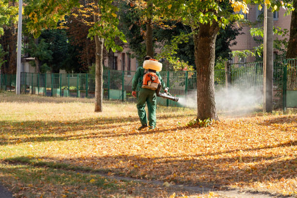 Best Wildlife Control Services  in Clatskanie, OR