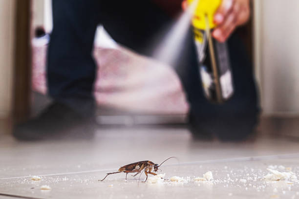 Best Affordable Pest Control Services  in Clatskanie, OR